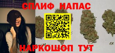индика Малгобек